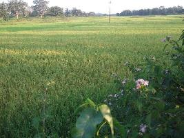  Agricultural Land for Sale in Gohana Road, Panipat