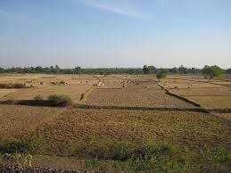  Commercial Land for Sale in Israna, Panipat