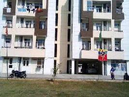 2 BHK Flat for Sale in Kalia Colony, Jalandhar