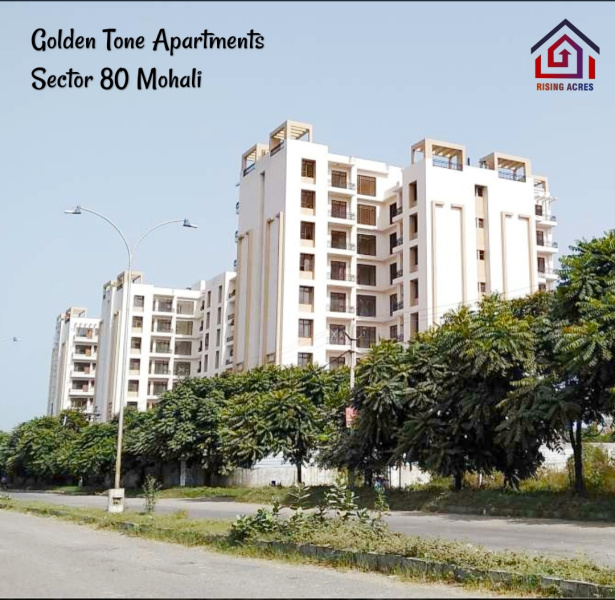 3 BHK Residential Apartment 1800 Sq.ft. for Sale in Sector 80 Mohali