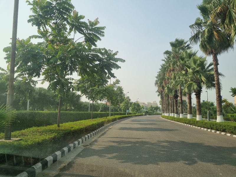  Residential Plot 250 Sq. Yards for Sale in Sector 85 Mohali