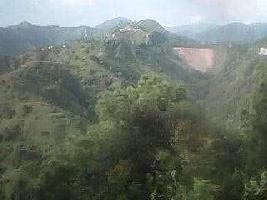  Agricultural Land for Sale in Waknaghat, Solan