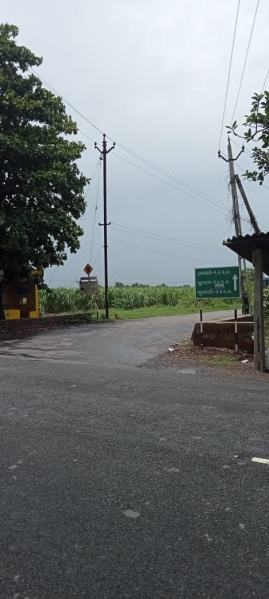  Agricultural Land 5000 Sq. Yards for Sale in Dumas, Surat