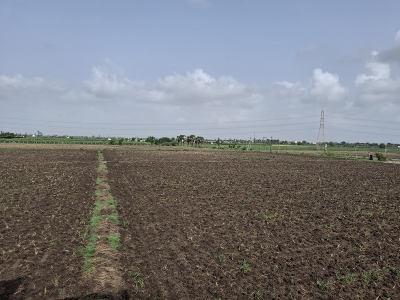  Warehouse 25000 Sq.ft. for Rent in Sachin, Surat