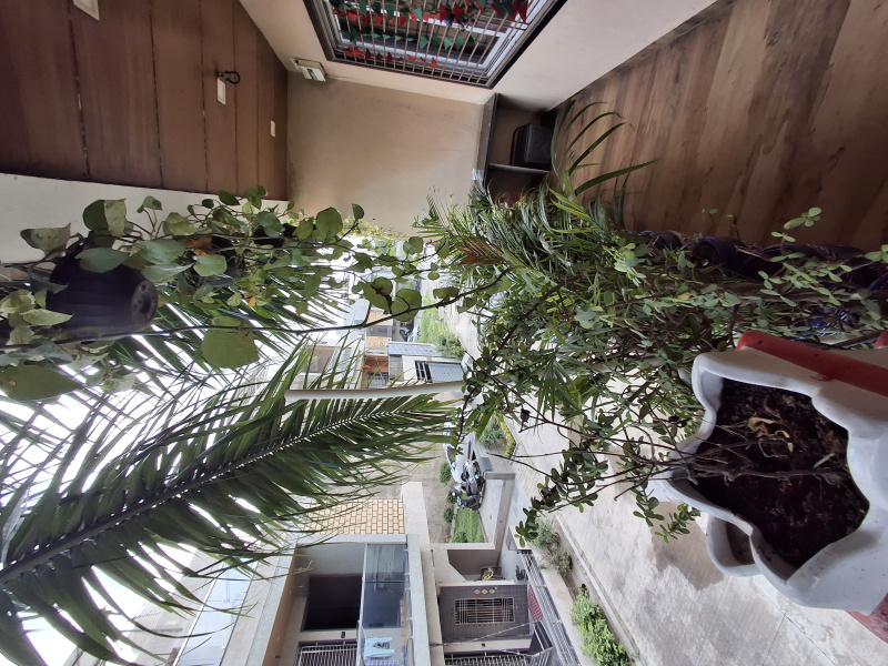  Showroom 40000 Sq.ft. for Sale in Ghod Dod Road, Surat