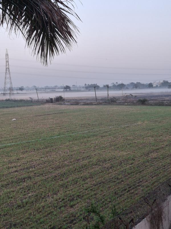  12 Acre Warehouse for Rent in Kim, Surat