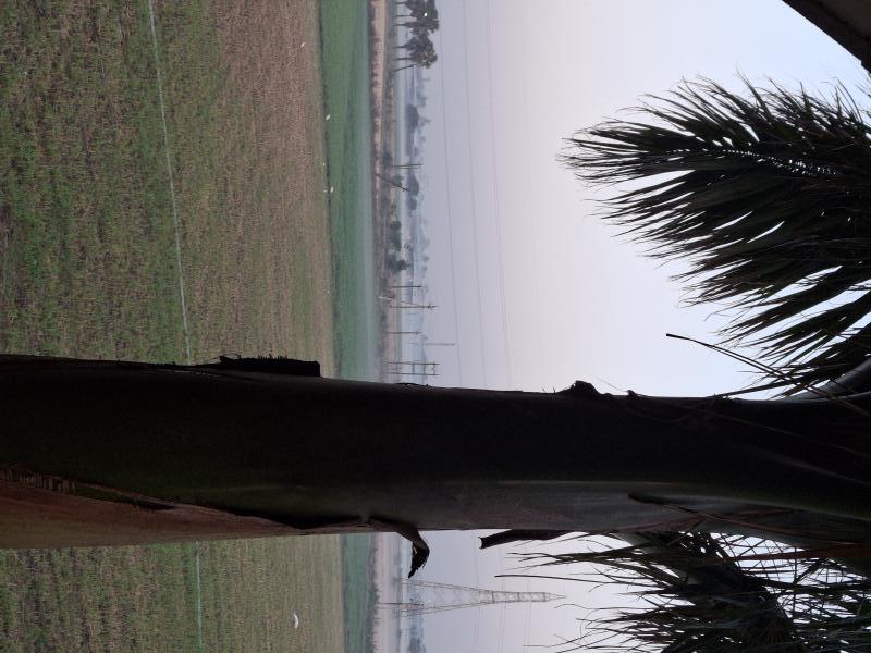  12 Acre Warehouse for Rent in Kim, Surat