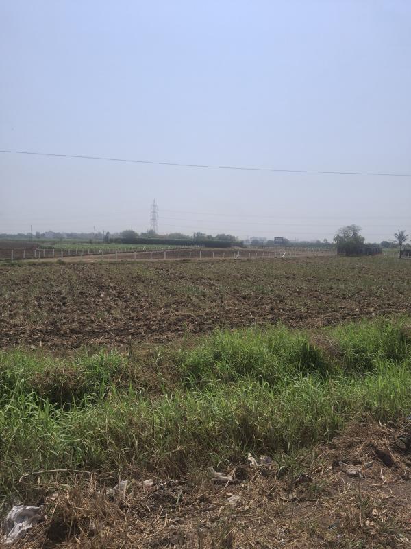  9600 Sq. Yards Residential Plot for Sale in Dumas, Surat