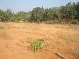  Commercial Land for Sale in Knowledge Park 3, Greater Noida