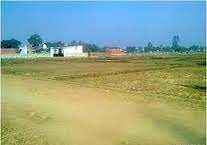  Industrial Land for Sale in Naraina Industrial Area Phase 1, Delhi
