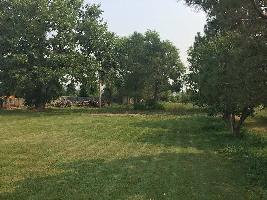  Commercial Land for Sale in Masoodabad, Aligarh