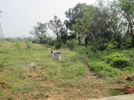  Agricultural Land for Sale in Loharu, Bhiwani