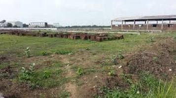  Agricultural Land for Sale in Sujanpur, Pathankot