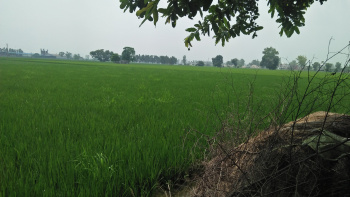  Agricultural Land for Sale in GT Road, Phagwara