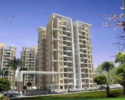 3 BHK Flat for Rent in Hinjewadi Phase 1, Pune