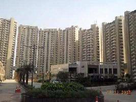 5 BHK Flat for Sale in DLF Phase I, Gurgaon