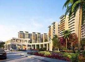 3 BHK Flat for Rent in DLF Phase IV, Gurgaon