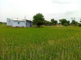  Agricultural Land for Sale in Bansur, Alwar