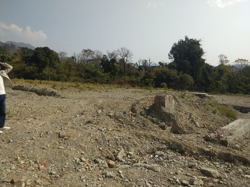  Residential Plot 233 Sq. Yards for Sale in Purkal, Dehradun