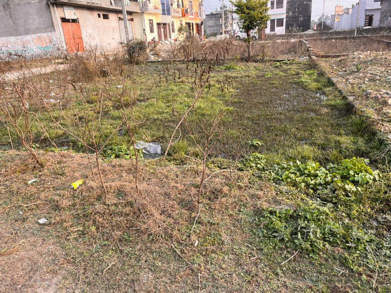  1575 Sq.ft. Residential Plot for Sale in Sidcul NH 73, Haridwar