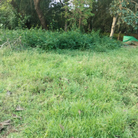  Agricultural Land for Sale in Borim, Ponda, Goa