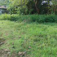  Commercial Land for Sale in Davorlim, Goa