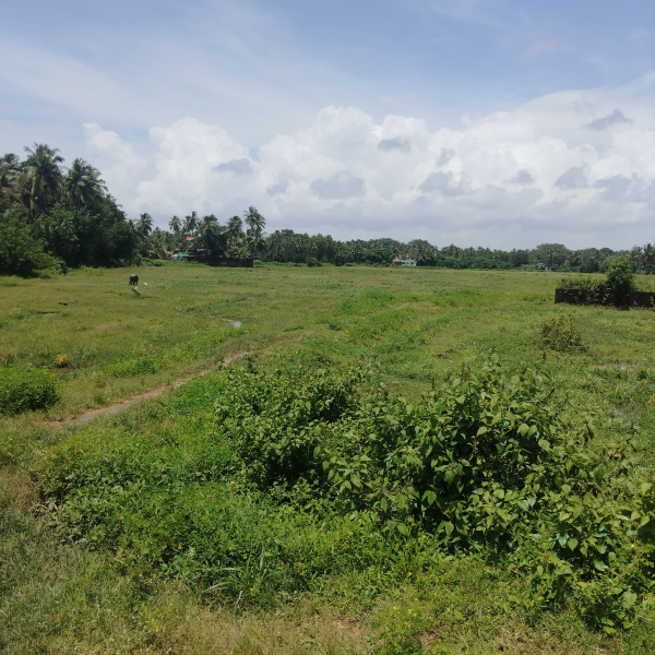  790 Sq. Meter Residential Plot for Sale in Navelim, Margao, Goa
