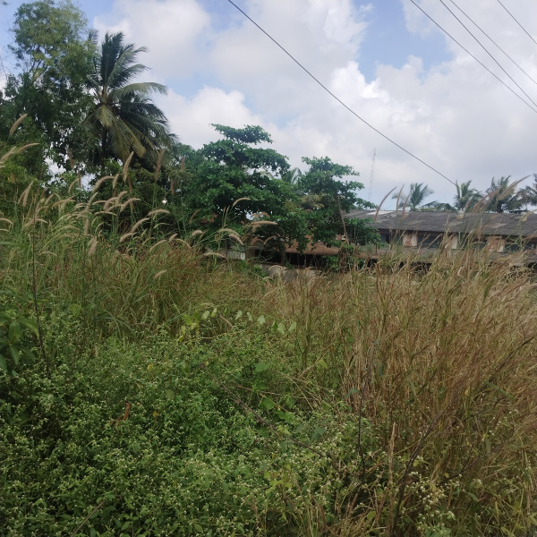  800 Sq. Meter Residential Plot for Sale in Sancoale, South Goa