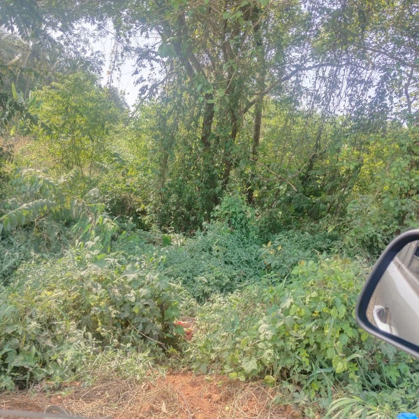 6800 Sq. Meter Commercial Land for Sale in Nuvem, Goa