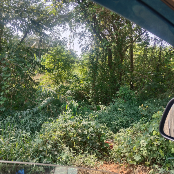  1000 Sq. Meter Residential Plot for Sale in Davorlim, Goa