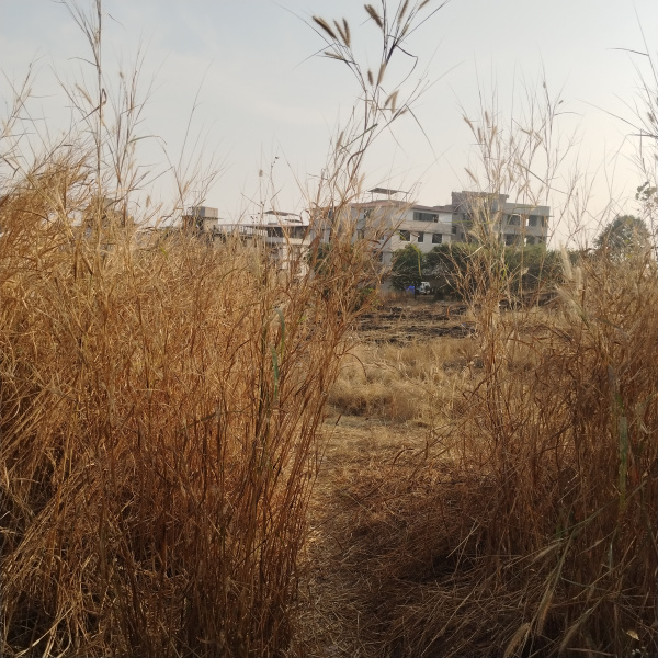  480 Sq. Meter Residential Plot for Sale in Verna, Goa