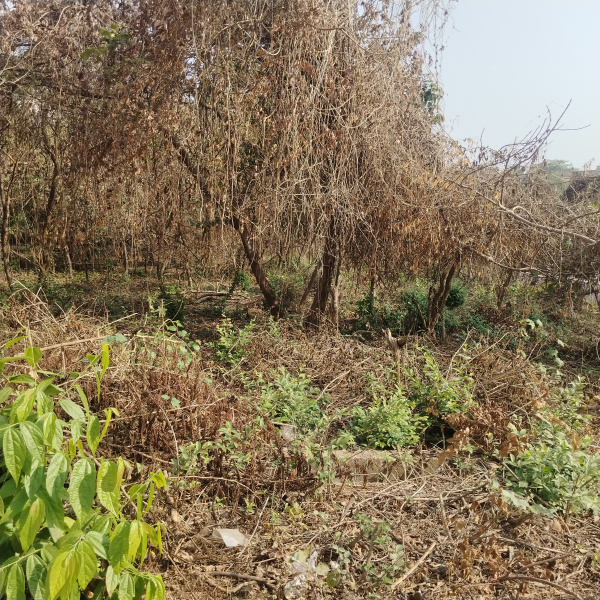  1012 Sq. Meter Residential Plot for Sale in Aquem, Margao, Goa