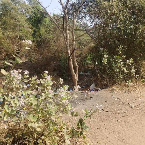  757 Sq. Meter Residential Plot for Sale in Nuvem, Goa