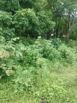  Residential Plot for Sale in Loutolim, South Goa, 