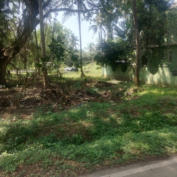  480 Sq. Meter Residential Plot for Sale in Salcete, South Goa, 