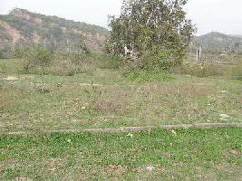  Residential Plot for Sale in Jalandhar Cantt.