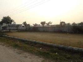  Residential Plot for Sale in Jalandhar Cantt.