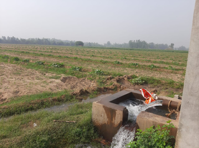 Agricultural Land 200 Bigha for Sale in Shahabad, Rampur