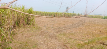  Agricultural Land for Sale in Gawan, Sambhal