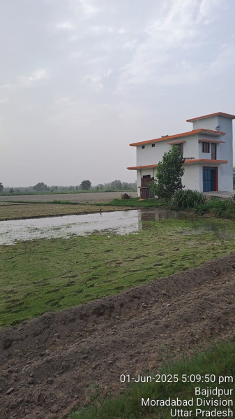 4 BHK House 96 Bigha for Sale in Dhanaura, Amroha