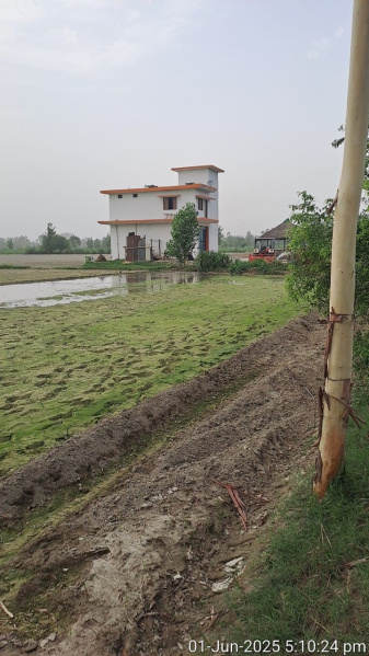 4 BHK House 96 Bigha for Sale in Dhanaura, Amroha