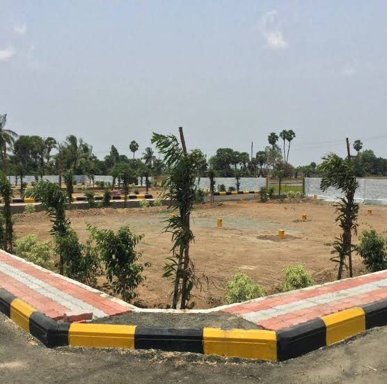  Residential Plot 100 Sq. Yards for Sale in Delhi Road, Moradabad