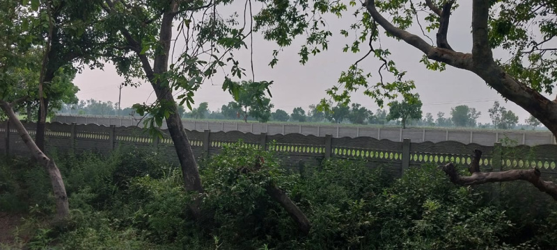  Agricultural Land 52 Bigha for Sale in Budhi Vihar, Moradabad