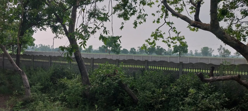  20 Bigha Agricultural/Farm Land for Sale in Kanth Road, Moradabad