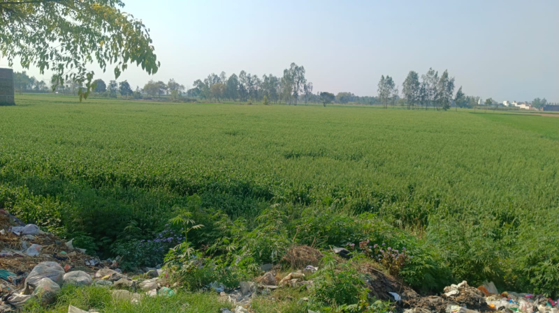  22 Bigha Industrial Land for Sale in Delhi Road, Moradabad