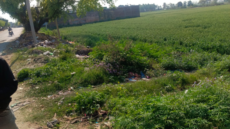  22 Bigha Industrial Land for Sale in Delhi Road, Moradabad