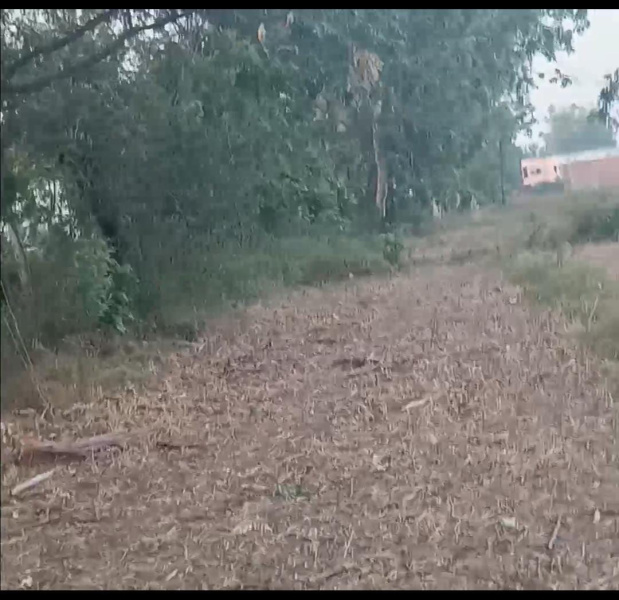  9 Bigha Agricultural/Farm Land for Sale in Bilari, Moradabad