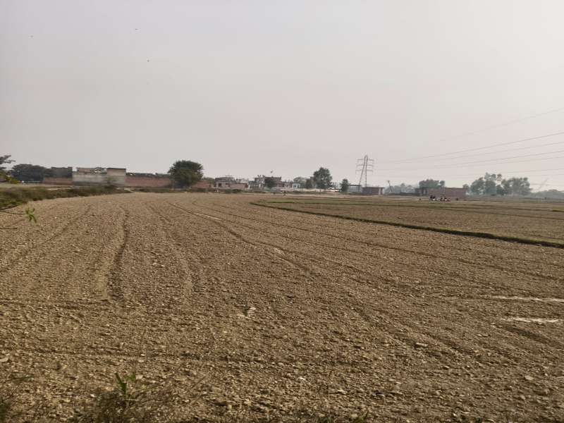  20 Bigha Agricultural/Farm Land for Sale in Garhmukteshwar, Hapur