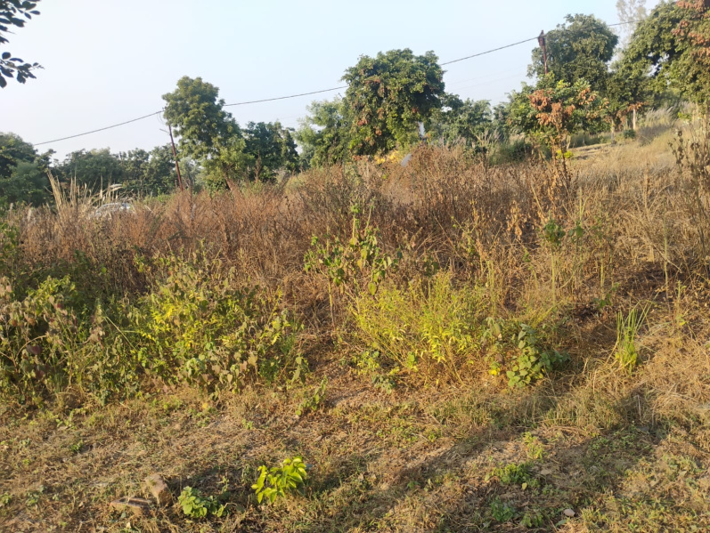  300 Sq. Meter Agricultural/Farm Land for Sale in Budhi Vihar, Moradabad