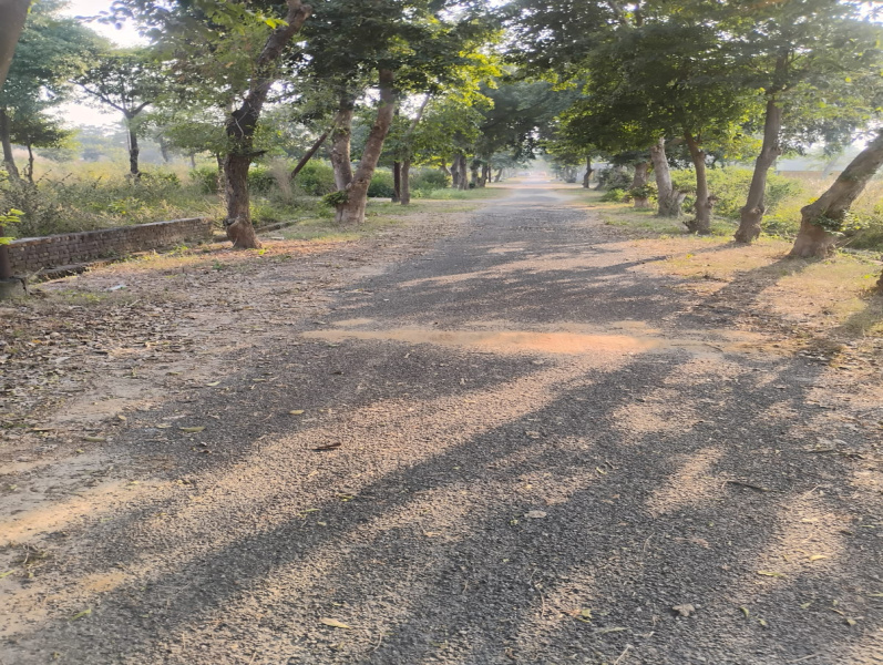  450 Sq. Meter Residential Plot for Sale in Budhi Vihar, Moradabad